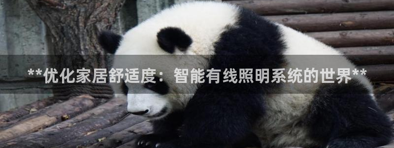 **优化家居舒适度：智能有线照明系统的世界**