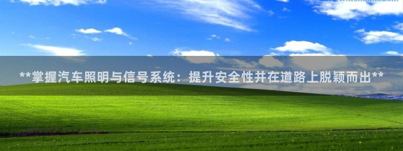 **掌握汽车照明与信号系统:提升安全性并在道路上脱颖而出**