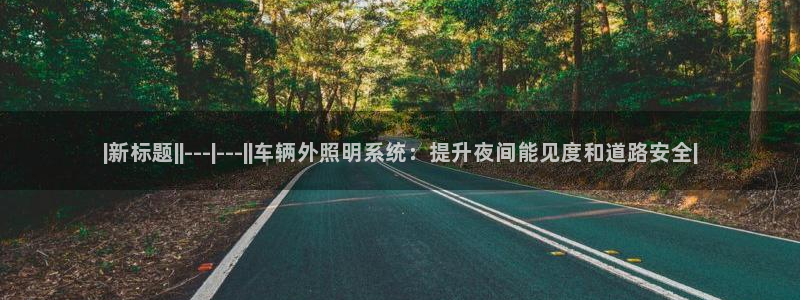 |新标题||---|---||车辆外照明系统：提升夜间能见度和道路安全|