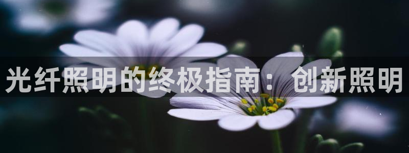光纤照明的终极指南:创新照明
