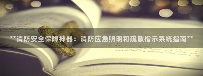 **消防安全保障神器:消防应急照明和疏散指示系统指南**
