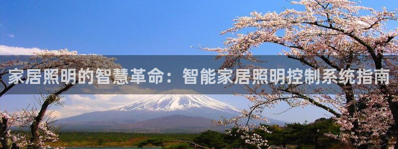 家居照明的智慧革命：智能家居照明控制系统指南