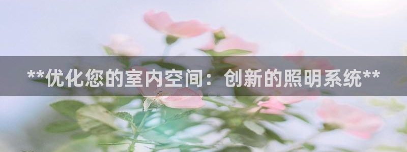 **优化您的室内空间：创新的照明系统**