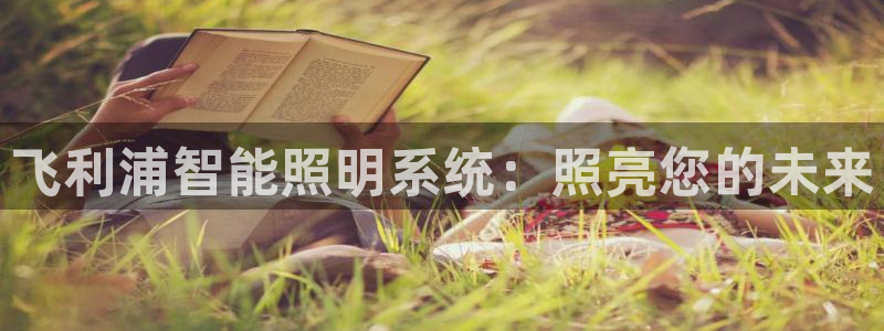 飞利浦智能照明系统：照亮您的未来