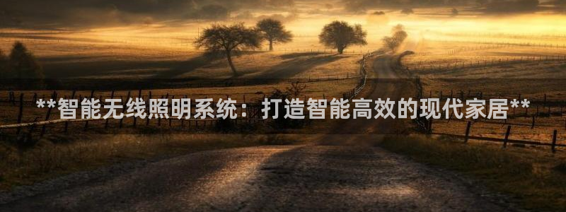 **智能无线照明系统：打造智能高效的现代家居**