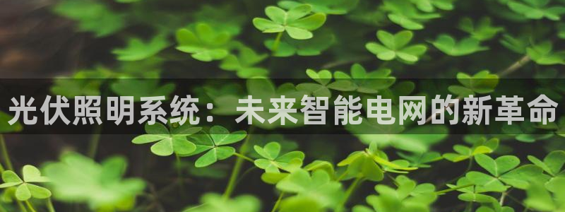 光伏照明系统：未来智能电网的新革命