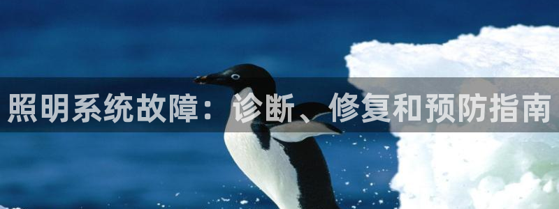 照明系统故障：诊断、修复和预防指南