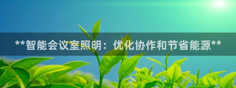 **智能会议室照明：优化协作和节省能源**