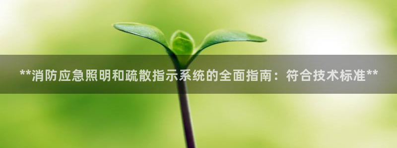 **消防应急照明和疏散指示系统的全面指南:符合技术标准**