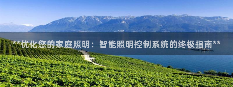 **优化您的家庭照明：智能照明控制系统的终极指南**