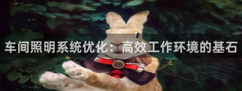 车间照明系统优化：高效工作环境的基石