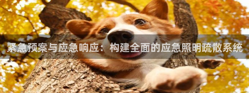 紧急预案与应急响应:构建全面的应急照明疏散系统