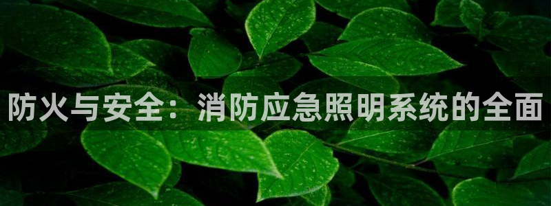 防火与安全：消防应急照明系统的全面