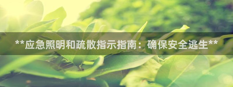 **应急照明和疏散指示指南：确保安全逃生**