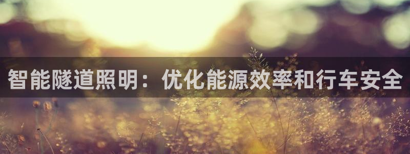 智能隧道照明：优化能源效率和行车安全