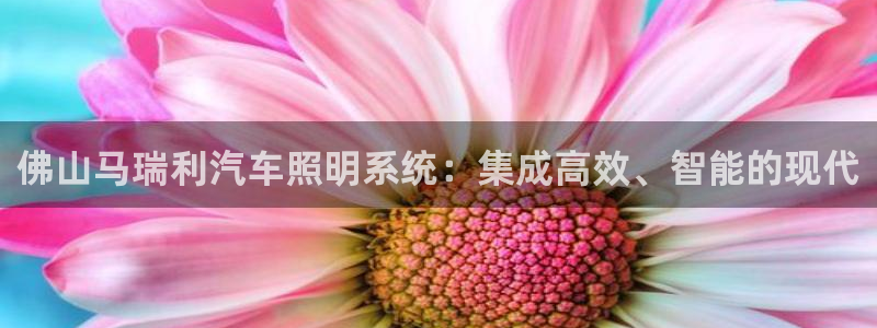 佛山马瑞利汽车照明系统:集成高效、智能的现代