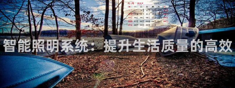 智能照明系统:提升生活质量的高效