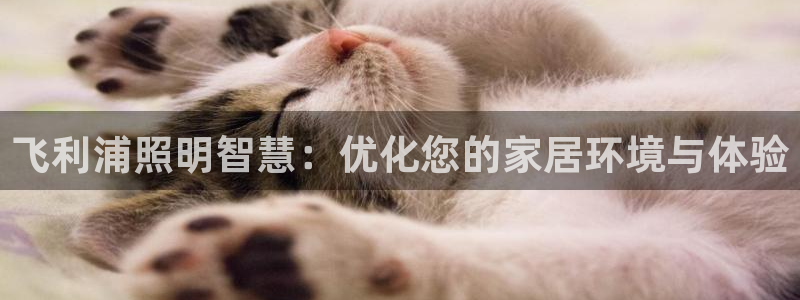 飞利浦照明智慧：优化您的家居环境与体验