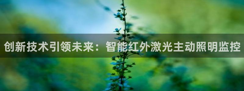 创新技术引领未来：智能红外激光主动照明监控