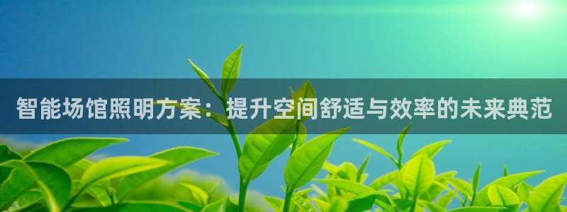 智能场馆照明方案：提升空间舒适与效率的未来典范