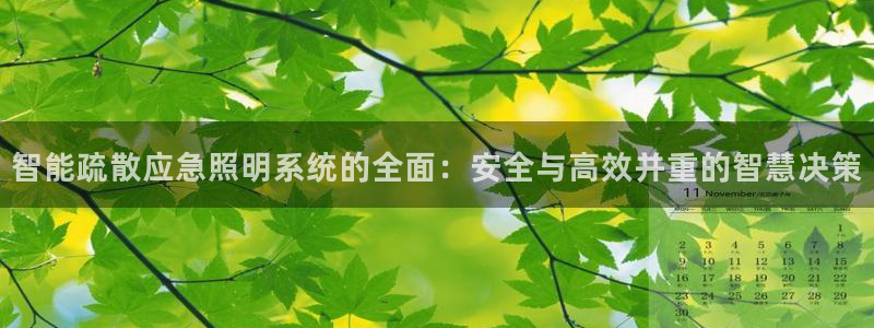 智能疏散应急照明系统的全面：安全与高效并重的智慧决策