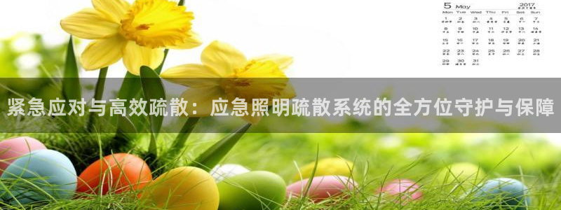 紧急应对与高效疏散：应急照明疏散系统的全方位守护与保障