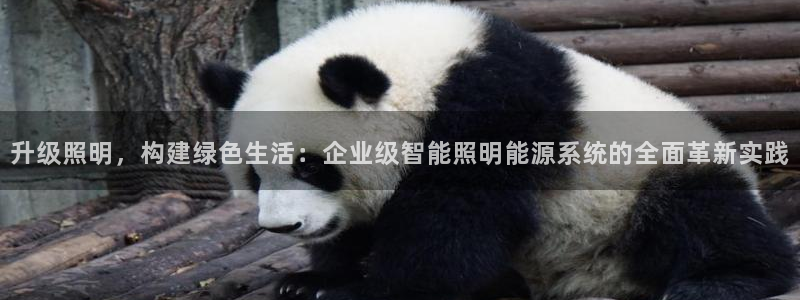 升级照明，构建绿色生活：企业级智能照明能