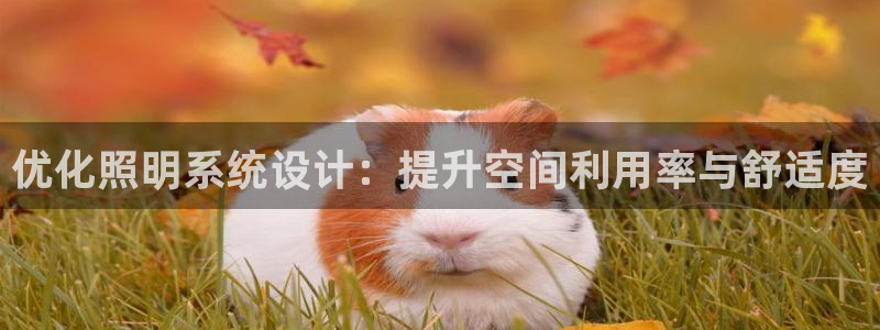 优化照明系统设计：提升空间利用率与舒适度