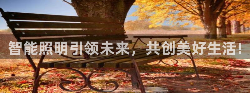智能照明引领未来，共创美好生活!