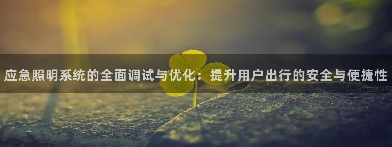 应急照明系统的全面调试与优化：提升用户出