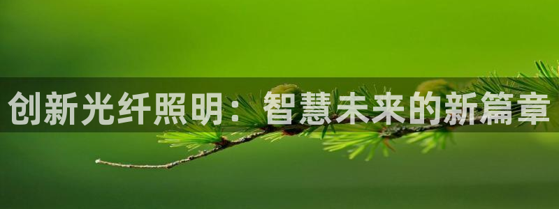创新光纤照明：智慧未来的新篇章