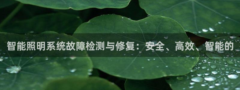 智能照明系统故障检测与修复：安全、高效、