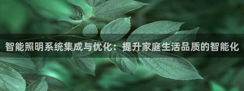 智能照明系统集成与优化：提升家庭生活品质的智能化