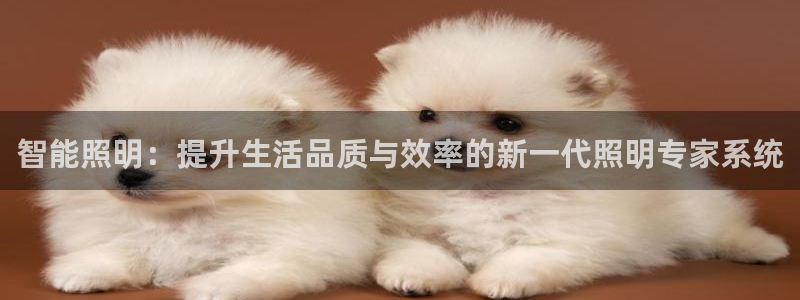 智能照明：提升生活品质与效率的新一代照明专家系统