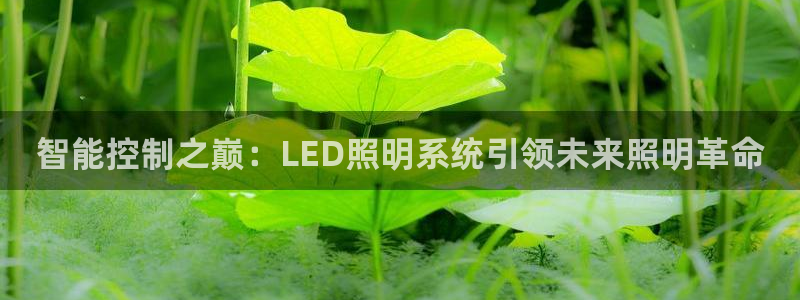 智能控制之巅：LED照明系统引领未来照明