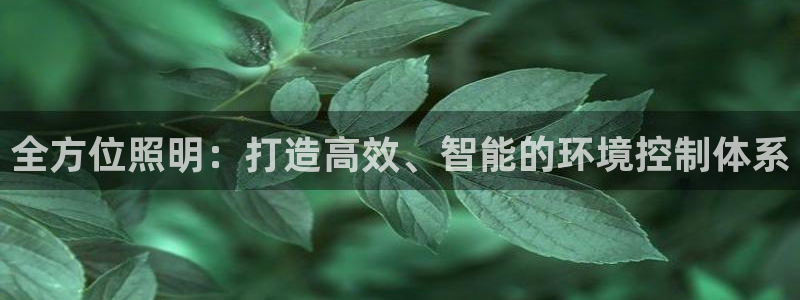 全方位照明：打造高效、智能的环境控制体系