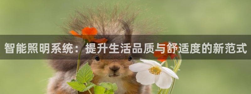 智能照明系统：提升生活品质与舒适度的新范式