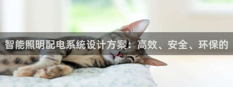 智能照明配电系统设计方案：高效、安全、环保的