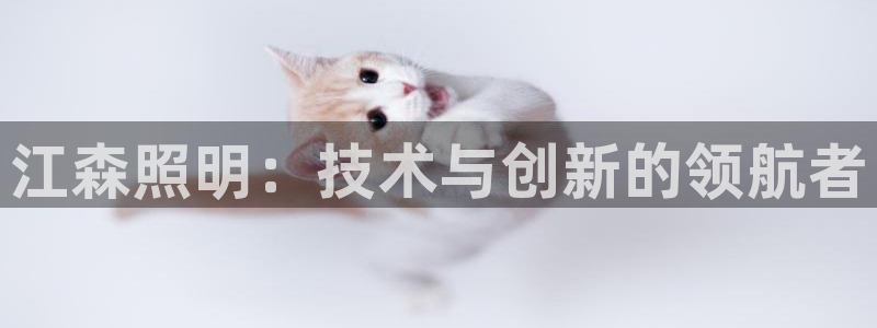 江森照明：技术与创新的领航者
