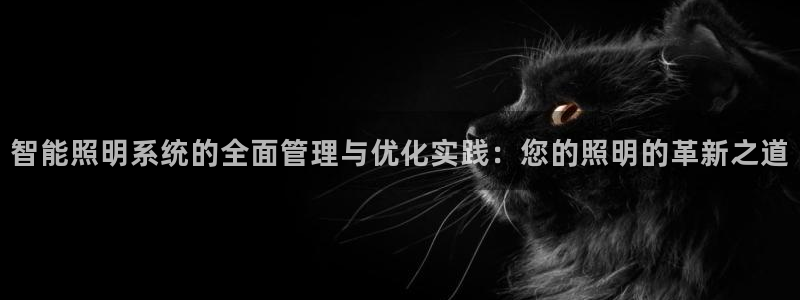 智能照明系统的全面管理与优化实践：您的照明的革新之道