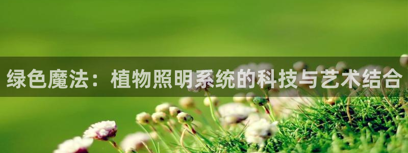 绿色魔法：植物照明系统的科技与艺术结合