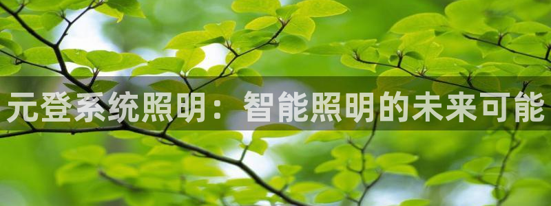 元登系统照明：智能照明的未来可能