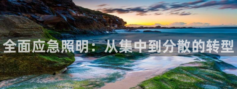 全面应急照明：从集中到分散的转型
