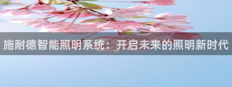 施耐德智能照明系统：开启未来的照明新时代