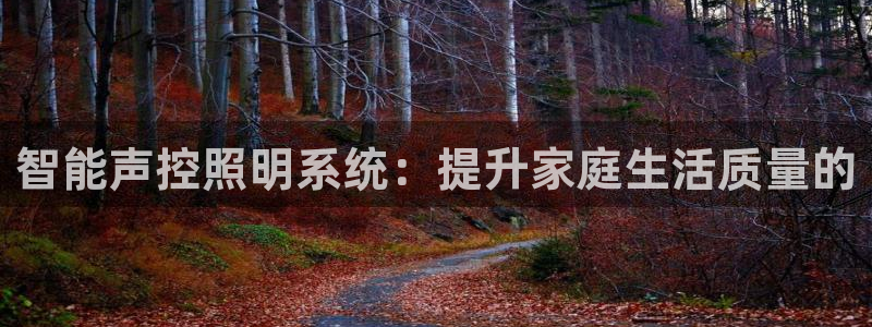 智能声控照明系统：提升家庭生活质量的