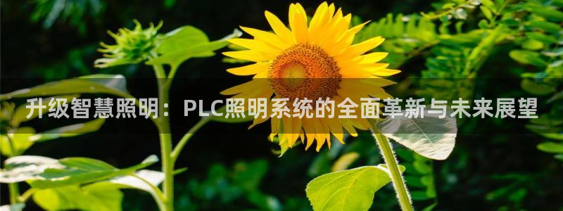 升级智慧照明：PLC照明系统的全面革新与