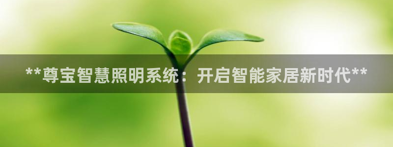 **尊宝智慧照明系统：开启智能家居新时代**