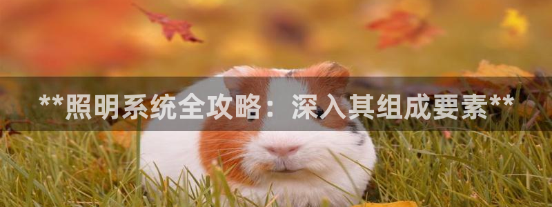 **照明系统全攻略：深入其组成要素**