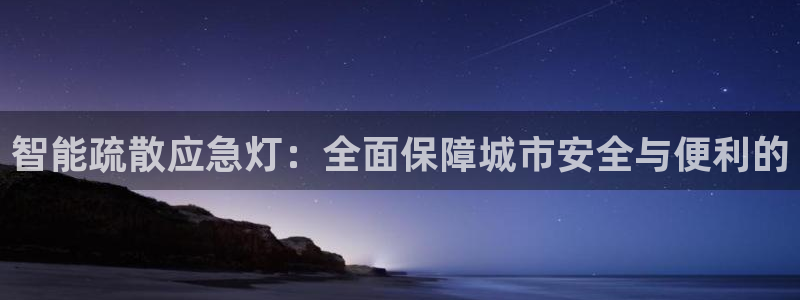 智能疏散应急灯：全面保障城市安全与便利的