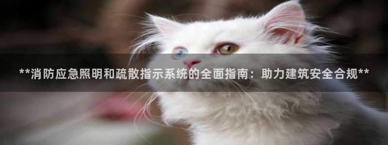 **消防应急照明和疏散指示系统的全面指南：助力建筑安全合规**